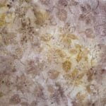 marmoleado beige