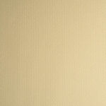 Tela piqué de vestir amarillo - Imagen 2